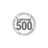logo_cepyme500_2021_curvas_1